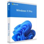 WINDOWS 11 PRO 64BITS OEM SPA DVD